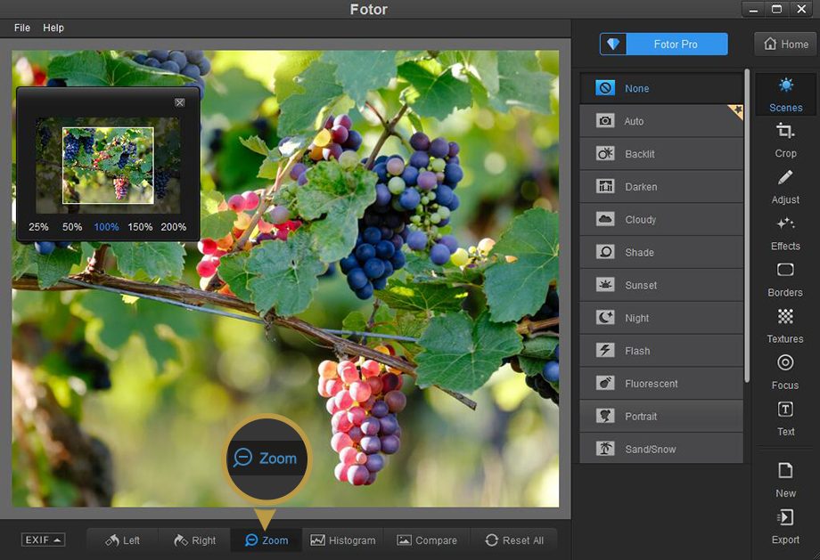 Let's explore 12 best online photo editing software today