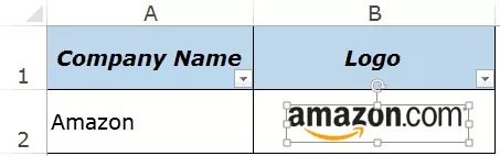 Insert an image into a cell in excel