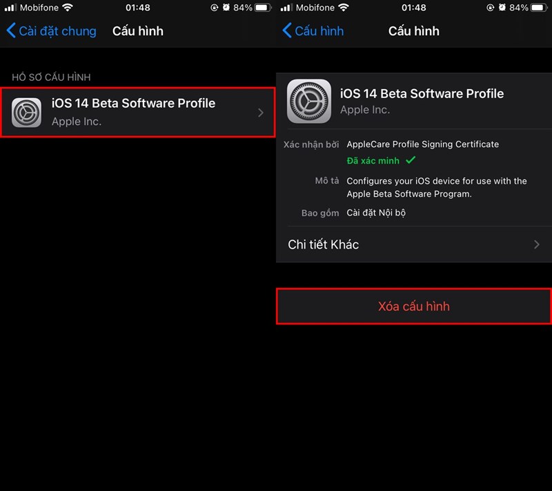 Cách cập nhật iOS 14 trên iPhone, iPad và iPod 3