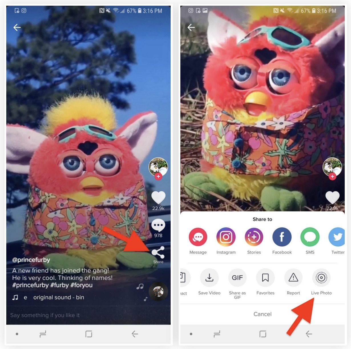 Cách lấy video Tik Tok làm hình nền điện thoại thêm phần sinh động