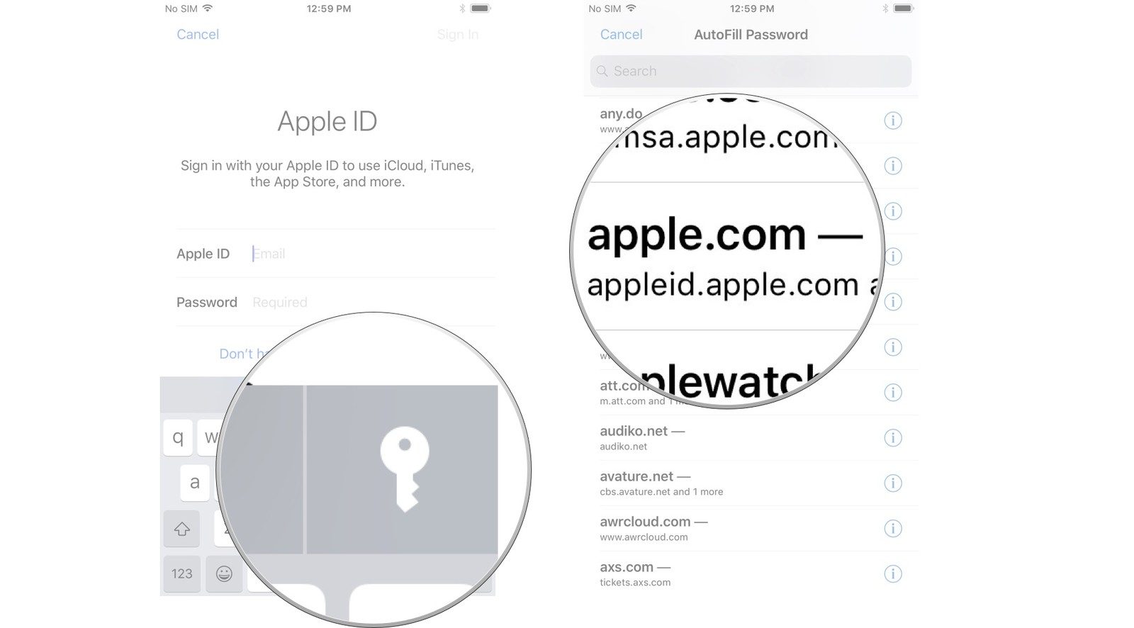 Step-by-step instructions on how to sign in with Apple ID 