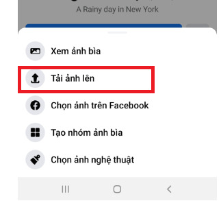 45+ Avatar Facebook Mặc Định Đẹp, Hot Trend Thay Ảnh Nhanh Chóng, 40 Lưu Ý  Bạn Cần Phải Biết - Pretty Woman Việt Nam