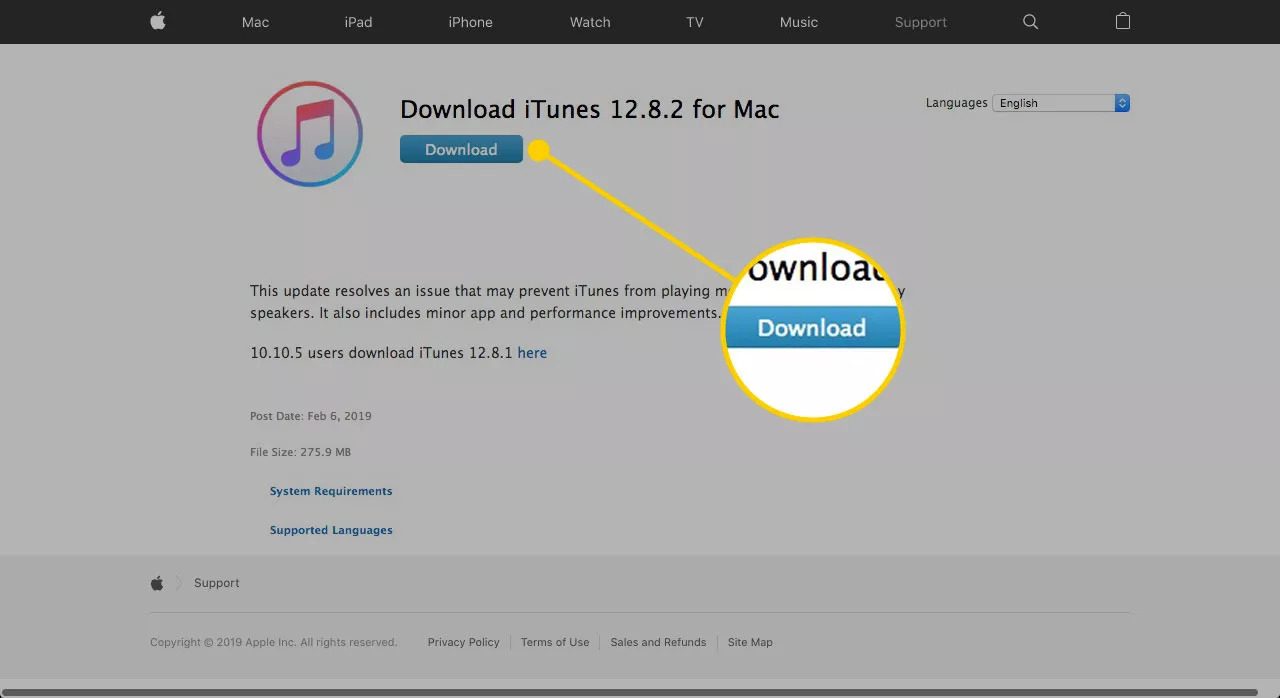 The Complete Guide to Installing iTunes on Mac and Windows