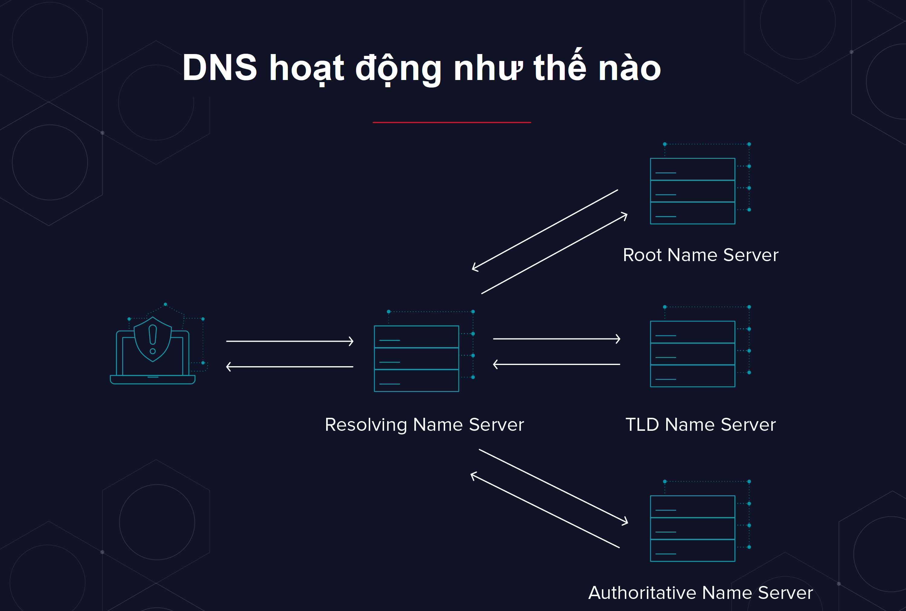 dns-la-gi-05