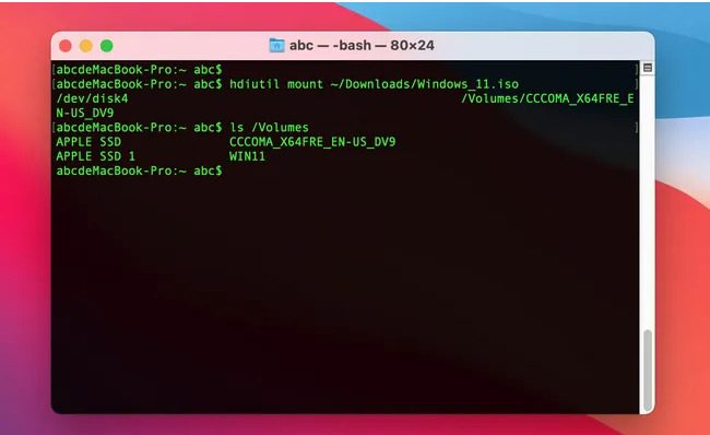 cách cài Win 11 lên Macbook