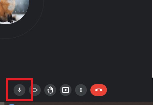 Google Meet does not accept mic