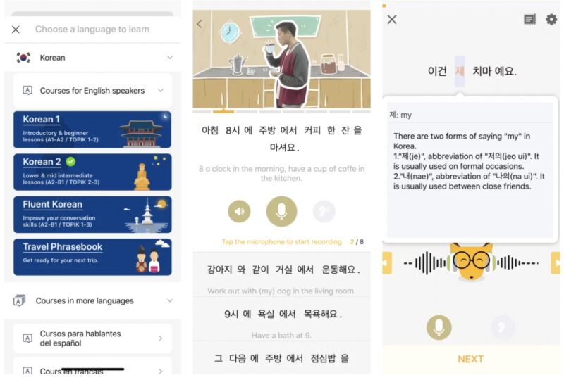 app học tiếng hàn - lingodeer