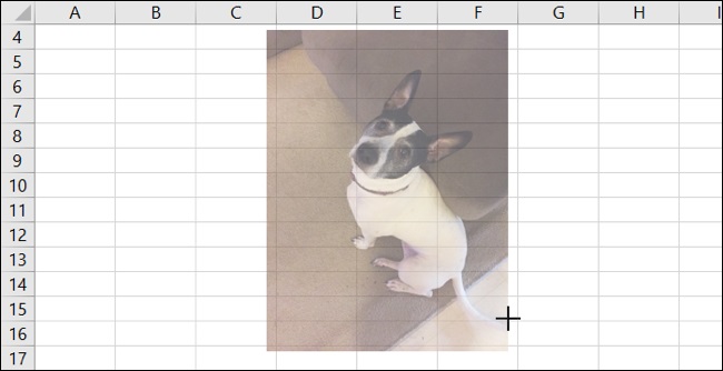 Insert picture into Excel sheet