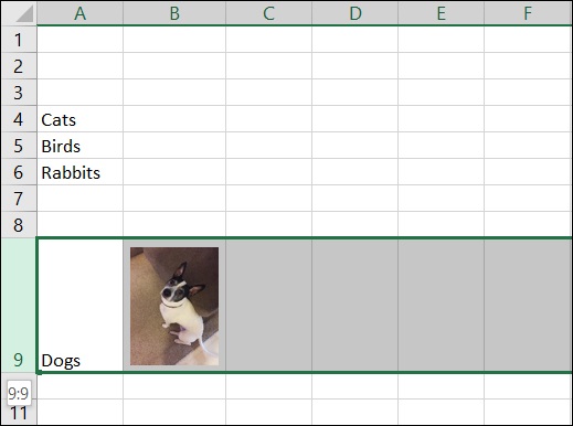 Cách chèn ảnh vào 1 ô trong Excel