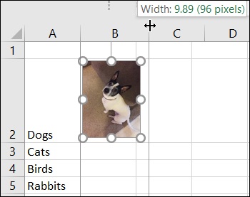 Cách chèn ảnh vào 1 ô trong Excel