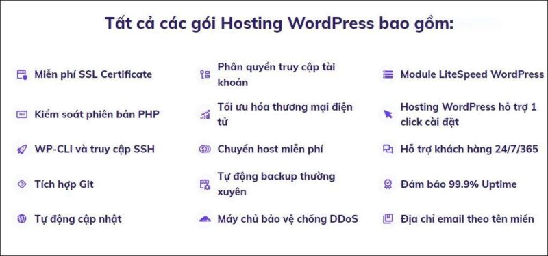 Đánh giá chi tiết các gói dịch vụ WordPress hosting
