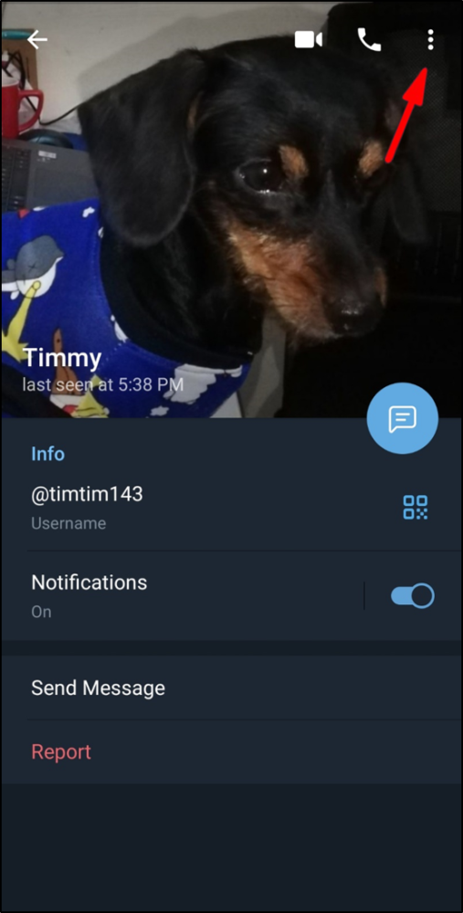 Cách thêm thắt các bạn bên trên Telegram vày thương hiệu người dùng