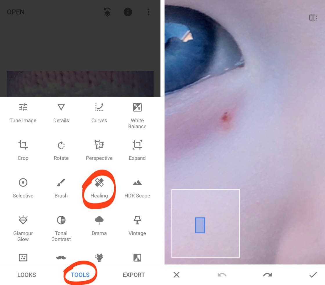 How to remove objects in photos with Snapseed