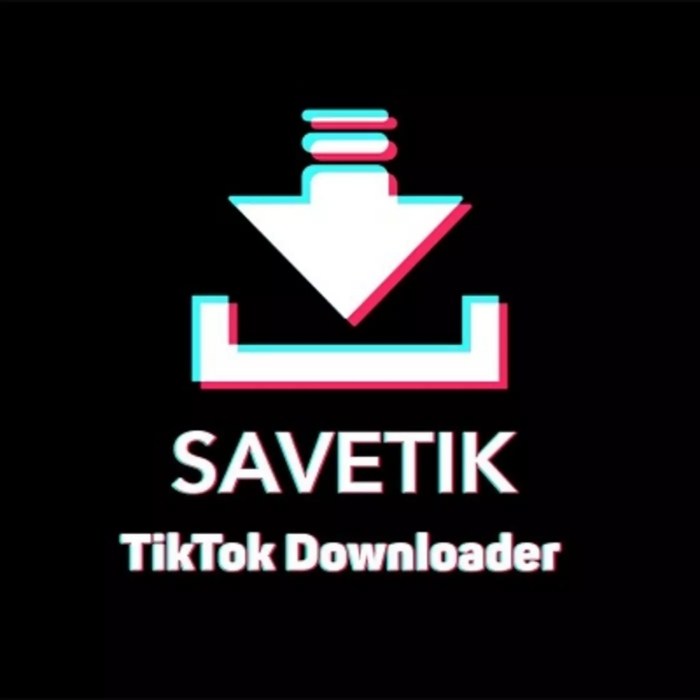 app xóa logo TikTok SaveTik